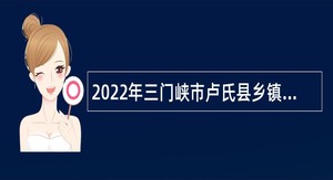 2022年三门峡市卢氏县乡镇事业单位招聘考试公告（50人）