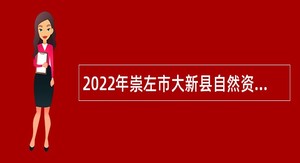 2022年崇左市大新县自然资源局招聘编外人员公告