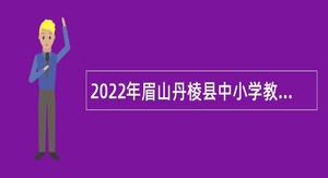 2022年眉山丹棱县中小学教师招聘公告