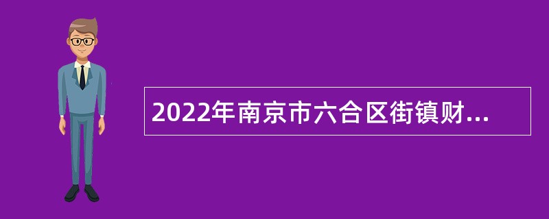 2022年南京市六合区街镇财政所招聘编外人员公告