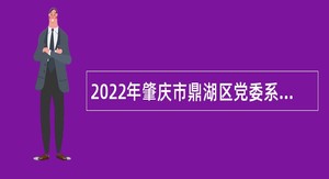 2022年肇庆市鼎湖区党委系统信息化中心招聘事业编制工作人员公告