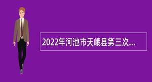 2022年河池市天峨县第三次自主招聘教师公告