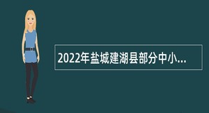 2022年盐城建湖县部分中小学、公办幼儿园招聘教师公告