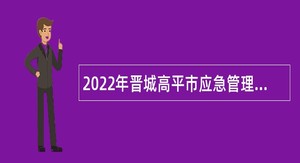 2022年晋城高平市应急管理综合行政执法大队招聘公告