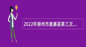 2022年柳州市鹿寨县第三次自主招聘中小学教师公告