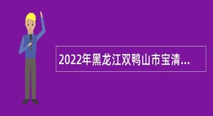 2022年黑龙江双鸭山市宝清县招聘医疗卫生人员公告