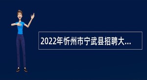 2022年忻州市宁武县招聘大学毕业生到村工作公告