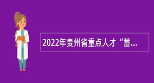 2022年贵州省重点人才“蓄水池”第三批岗位专项简化程序招聘公告