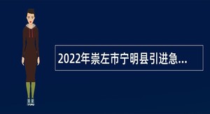 2022年崇左市宁明县引进急需紧缺专业优秀人才免笔试（第二批）招聘公告