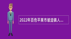 2022年百色平果市坡造镇人民政府招聘防贫监测员公告