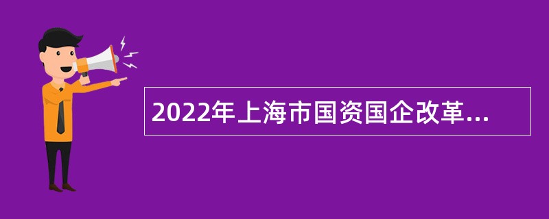 2022年上海市国资国企改革发展研究中心招聘人员公告（第二批）