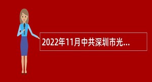2022年11月中共深圳市光明区委宣传部选聘特聘岗位专干公告