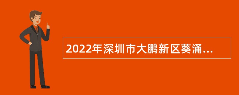 2022年深圳市大鹏新区葵涌办事处招聘编外人员公告