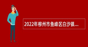 2022年柳州市鱼峰区白沙镇人民政府聘用人员招聘公告