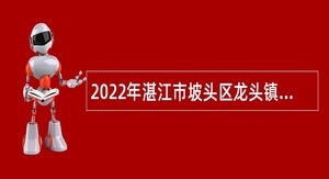 2022年湛江市坡头区龙头镇人民政府招聘编外人员公告