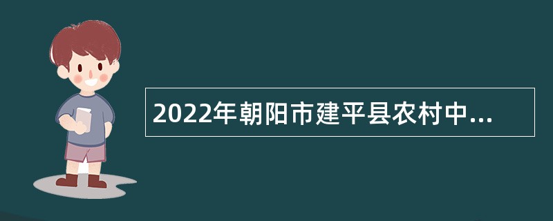 2022年朝阳市建平县农村中小学等事业单位招聘教师、校医公告