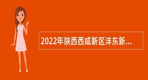 2022年陕西西咸新区沣东新城城改事务中心招聘公告
