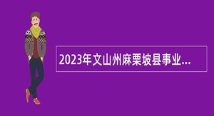 2023年文山州麻栗坡县事业单位紧缺岗位招聘公告