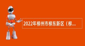 2022年柳州市柳东新区（柳州国家级高新区）管理委员会招聘编外合同制人员招聘公告（第八批）