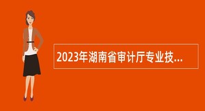 2023年湖南省审计厅专业技术人员招聘公告　　