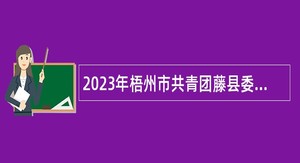 2023年梧州市共青团藤县委员会招聘编制外工作人员公告