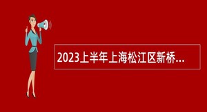 2023上半年上海松江区新桥镇下属单位招聘公告