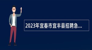 2023年宜春市宜丰县招聘急需紧缺教育、卫技人才公告