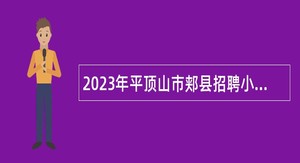 2023年平顶山市郏县招聘小学教师（人事代理）公告