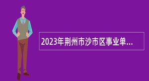 2023年荆州市沙市区事业单位人才引进公告