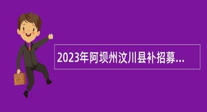 2023年阿坝州汶川县补招募公共卫生特别服务岗公告