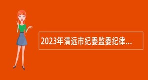 2023年清远市纪委监委纪律审查管理中心招聘公告