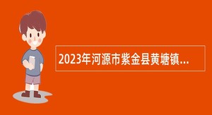 2023年河源市紫金县黄塘镇人民政府招聘规划建设管理员公告