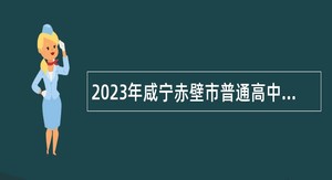 2023年咸宁赤壁市普通高中教师招聘公告