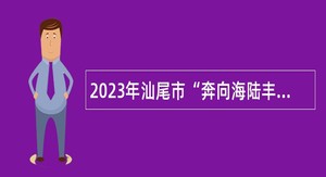 2023年汕尾市“奔向海陆丰”事业单位(综合类岗位)招聘工作人员公告