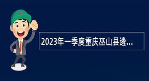 2023年一季度重庆巫山县遴选公务员和党群系统事业单位公告