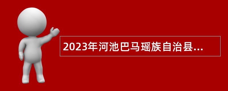 2023年河池巴马瑶族自治县统计局招聘编外工作人员公告