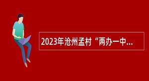 2023年沧州孟村“两办一中心”、公安局招聘工作人员公告