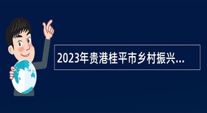 2023年贵港桂平市乡村振兴局招聘防贫监测信息员公告