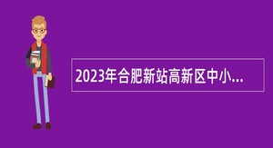 2023年合肥新站高新区中小学新任教师招聘公告