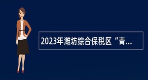 2023年潍坊综合保税区“青年人才优选计划”招聘公告