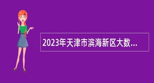 2023年天津市滨海新区大数据管理中心招聘工作人员公告