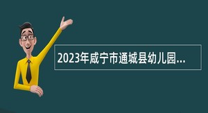 2023年咸宁市通城县幼儿园和农村义务教育学校教师招聘公告