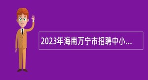 2023年海南万宁市招聘中小学教师公告
