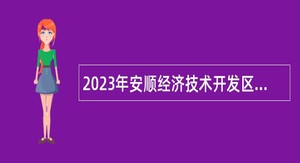 2023年安顺经济技术开发区事业单位招聘考试公告（29人）