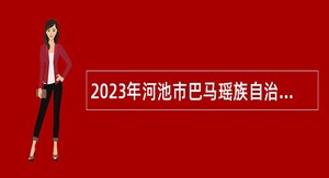 2023年河池市巴马瑶族自治县事业单位自主招聘工作人员公告