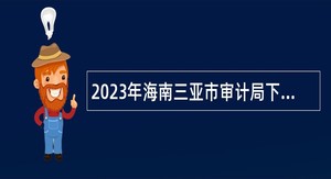 2023年海南三亚市审计局下属事业单位招聘工作人员公告