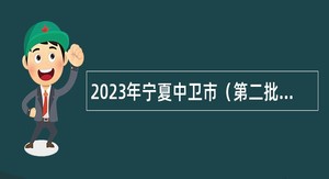 2023年宁夏中卫市（第二批）事业单位自主招聘高层次青年人才公告