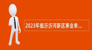 2023年临沂沂河新区事业单位招聘教师公告