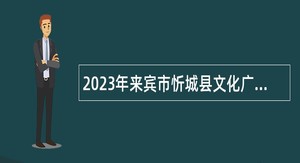 2023年来宾市忻城县文化广电和旅游局编外人员招聘公告