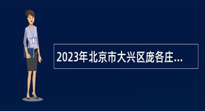 2023年北京市大兴区庞各庄镇人民政府招聘管控队伍人员公告